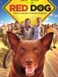 DVD Red Dog