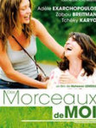DVD Des Morceaux De Moi