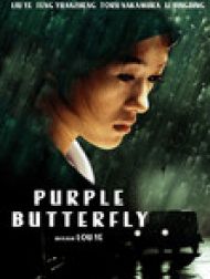 DVD Purple Butterfly