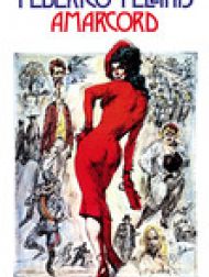 DVD Amarcord