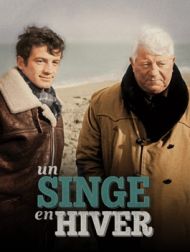 DVD Un Singe En Hiver