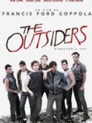 DVD The Outsiders (Director's Cut)