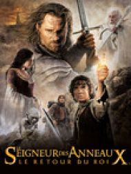DVD Le seigneur des anneaux : le retour du roi (VF)