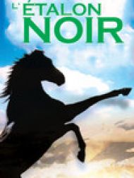 DVD L'étalon Noir