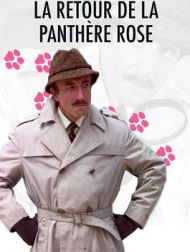 DVD Le Retour De La Panthère Rose