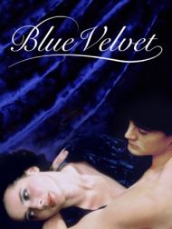 DVD Blue Velvet