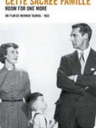 DVD Cette Sacrée Famille