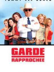 DVD Garde Rapprochée