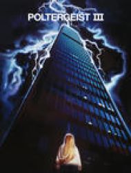 DVD Poltergeist III