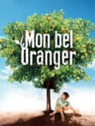 DVD Mon bel oranger