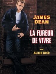 DVD Fureur De Vivre, La