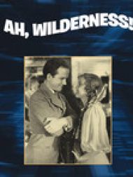 DVD Impetueuse Jeunesse (Ah, Wilderness)