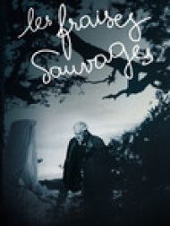 DVD Les Fraises Sauvages