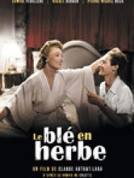 DVD Le Blé En Herbe