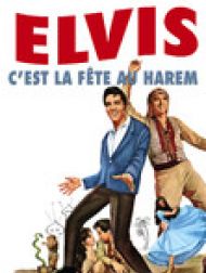 DVD C'est La Fête Au Harem