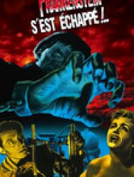 DVD Frankenstein S'est Échappé!