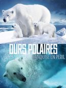 Achat DVD  Ours Polaires: Banquise En Peril 