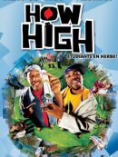 Achat DVD  How High 
