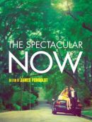 Achat DVD  The Spectacular Now 