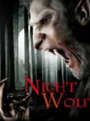 Achat DVD  Night Wolf 