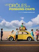 Achat DVD  Les Drôles De Poissons-chats 