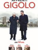 Achat DVD  Apprenti Gigolo (VOST) 
