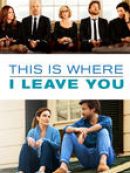 Achat DVD  This is Where I Leave You 