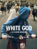 Achat DVD  White God 