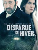 Achat DVD  Disparue En Hiver 