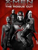 Achat DVD  X-Men: Days Of Future Past - The Rogue Cut 