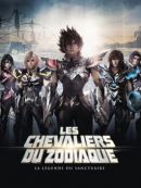 Achat DVD  Les Chevaliers Du Zodiaque : La Légende Du Sanctuaire (VF) 