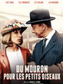 Achat DVD  Du Mouron Pour Les Petits Oiseaux 