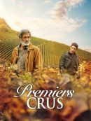 Achat DVD  Premiers Crus 