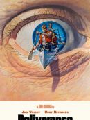 Achat DVD  Délivrance 