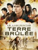 Achat DVD  Le Labyrinthe : La Terre Brûlée 