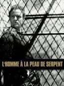 Achat DVD  L'Homme à La Peau De Serpent 
