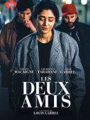 Achat DVD  Les Deux Amis 