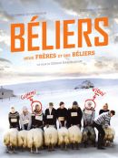 Télécharger Béliers