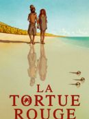 Achat DVD  La Tortue Rouge 