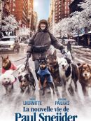 Achat DVD  La Nouvelle Vie De Paul Sneijder 