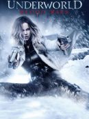 Achat DVD  Underworld Blood Wars 