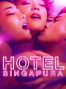 Achat DVD  Hôtel Singapura 