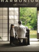 Achat DVD  Harmonium 