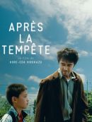 Achat DVD  Après La Tempête 