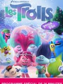 Achat DVD  Les Trolls : Spécial Fêtes 