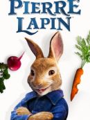 Achat DVD  Pierre Lapin 