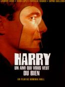 Achat DVD  Harry, Un Ami Qui Vous Veut Du Bien 