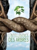Achat DVD  L'intelligence Des Arbres 