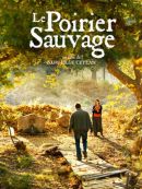 Achat DVD  Le Poirier Sauvage 