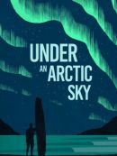 Achat DVD  Under An Arctic Sky 